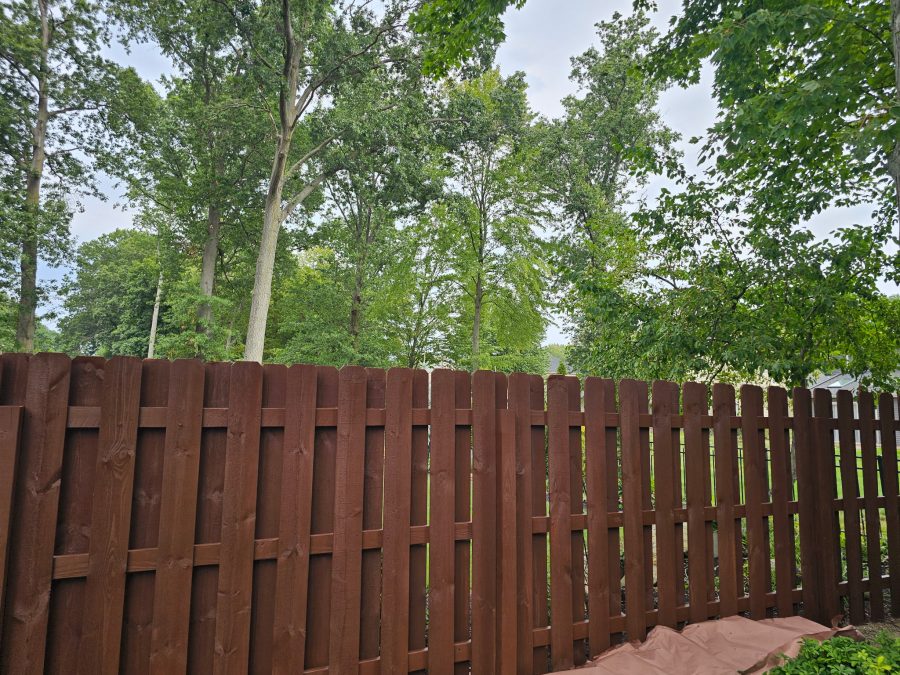 Fence Staining Preview Image 1