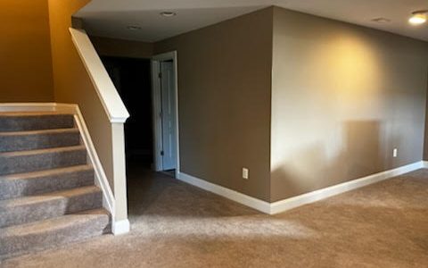 Basement Painting