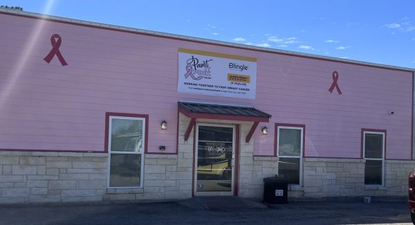 blingle paint it pink case study
