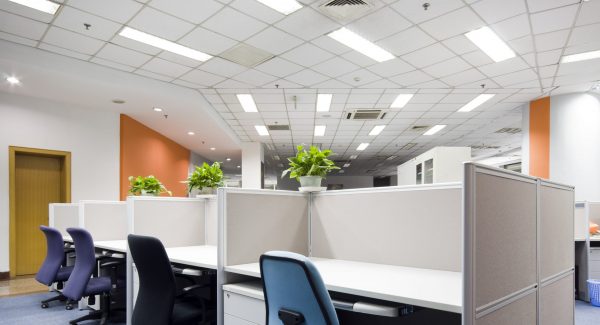 OFFICE PAINTING