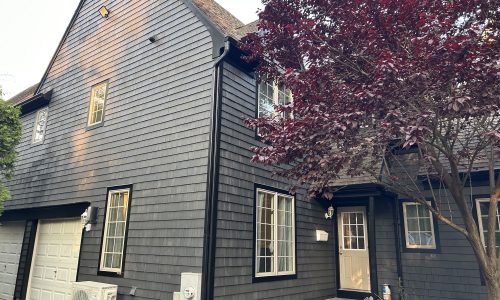 Exterior Painting
