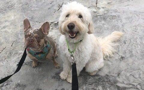 Kasper & Friend