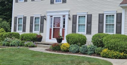 Exterior House Painting