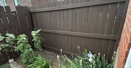Exterior Fence Staining Project