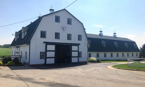 Exterior Painting