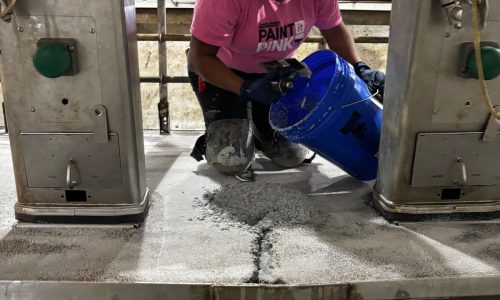Gill Dairy Case Study During Photo