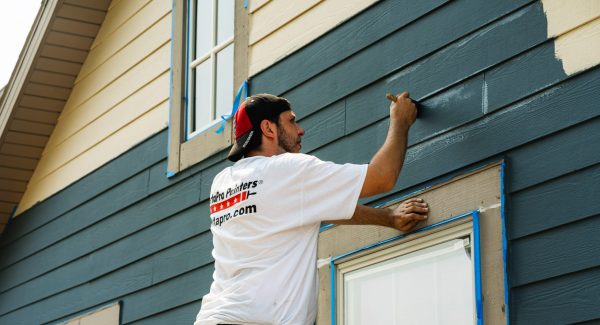 vinyl painting professional