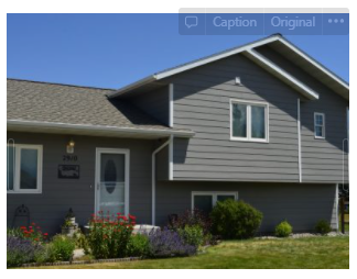 Exterior Siding Painters