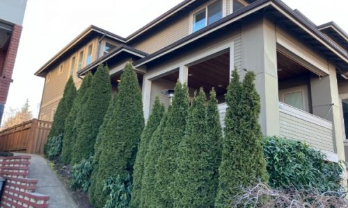 Aging Exterior