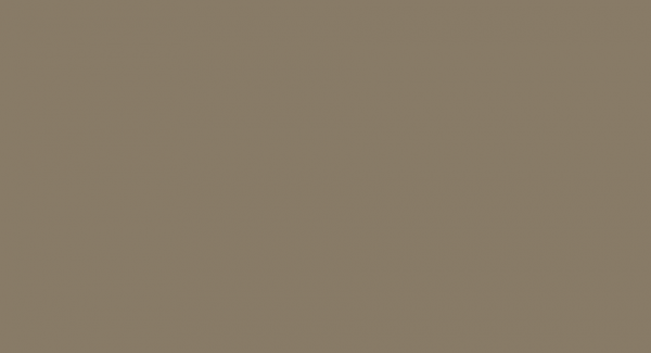 Paint Color Swatch