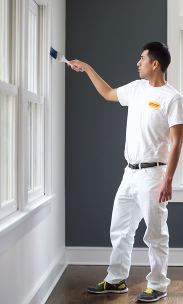 Professional Painters in Norwood Park, IL