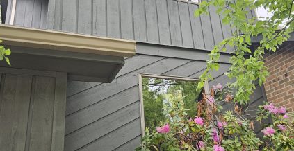 Exterior House Painting