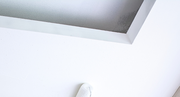 Ceiling Painting