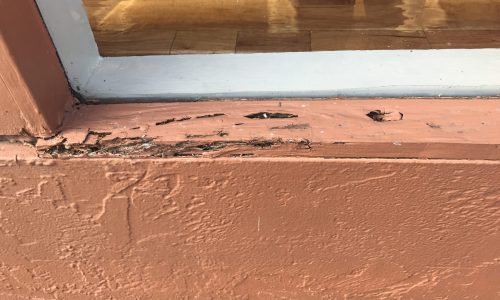 Rotted Window Trim