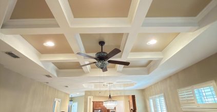 Ceiling Painting Project