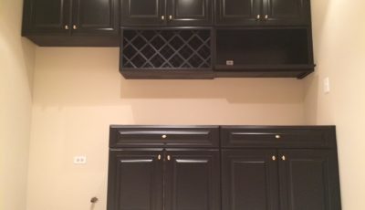 chicago il residential painters