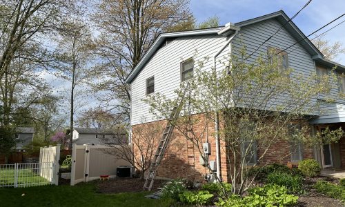 Exterior Siding Painting (Before)