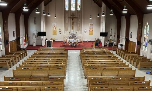 Sanctuary Overview – Before