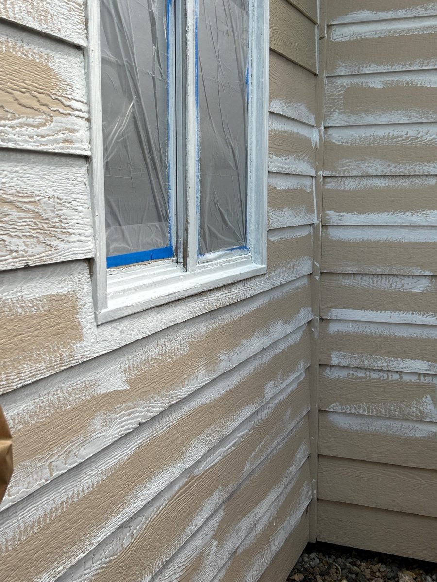 house siding during repaint Preview Image 9
