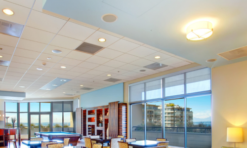 Interior Painting