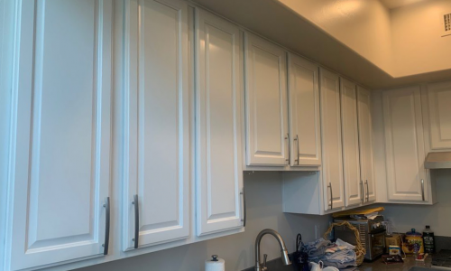 Cabinets Panited
