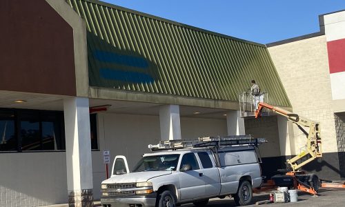 Roof Painting