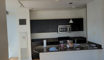 Chicago Condo Full Interior Repaint