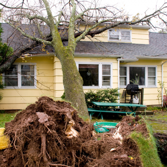 Storm Damage Painting & Repairs