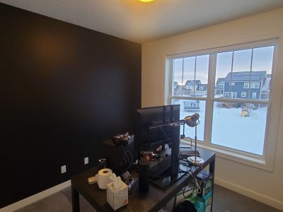 Lakeville home office painting