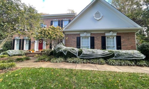 Exterior Refresh