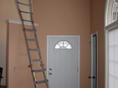 Duplex Painting Project