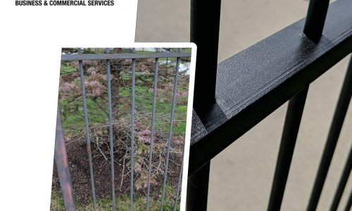 Pool House Fence Painting