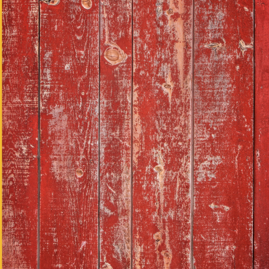 Wood Siding Painting Services