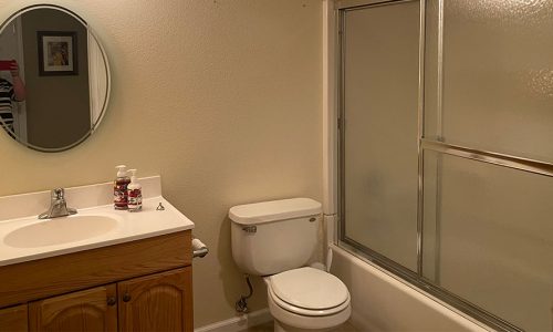 Bathroom Cabinets Before Photo