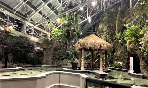 Tennessee Aquarium