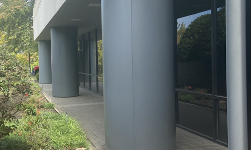 Repainted Columns
