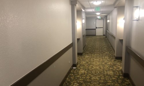 No Odor Paint