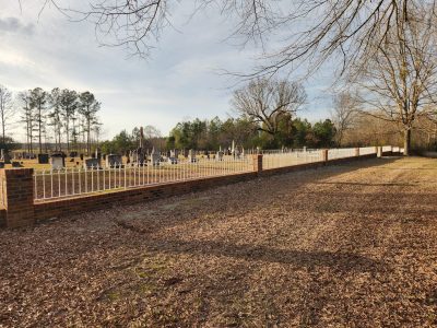 Iron Fence Painting