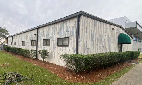 Paint Damage