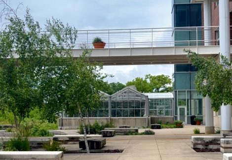 Beloit College Footbridge Restoration