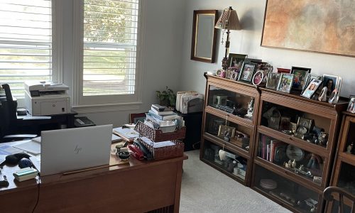 Office Shelves & Storage