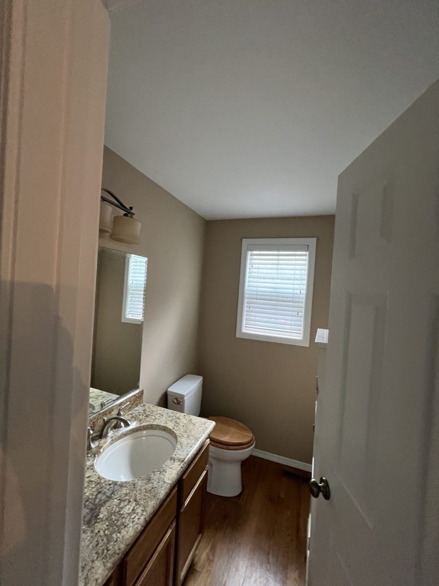 repainted home bathroom Preview Image 4