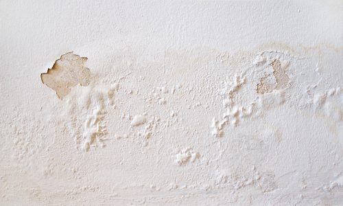 water damage repairs