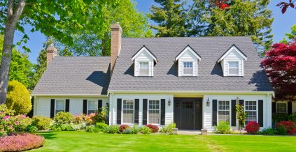 Residential Black & White Exterior