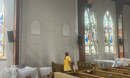 Interior Walls – In Progress