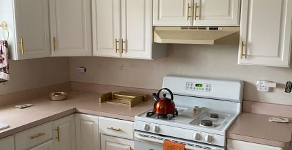 Kitchen Cabinet Before/After – Roselle, IL ...
