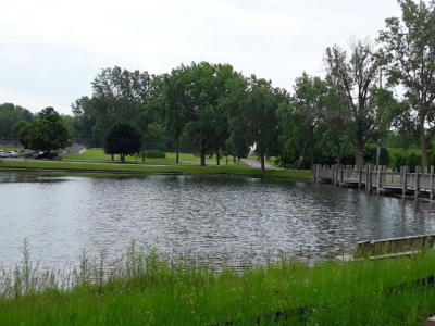 Pond in Zeeland. MI