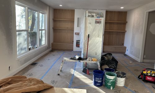 Living Room Before