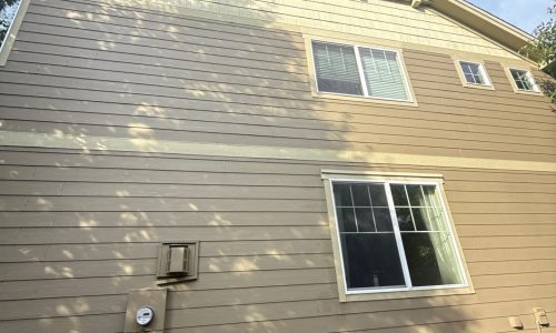 Sun-Faded Siding