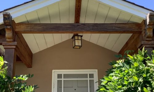 Peeling Arbor